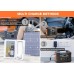 Power Station Flashfish E200